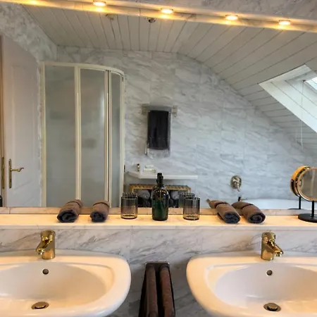 Sky Loft Schwarzach 公寓 施华金布鲁克