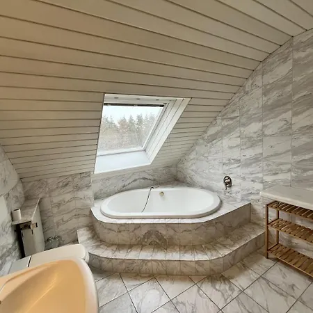 Sky Loft Schwarzach 施华金布鲁克