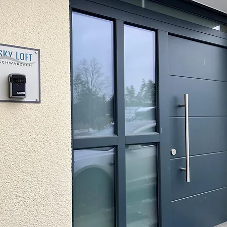 Sky Loft Schwarzach 公寓 施华金布鲁克